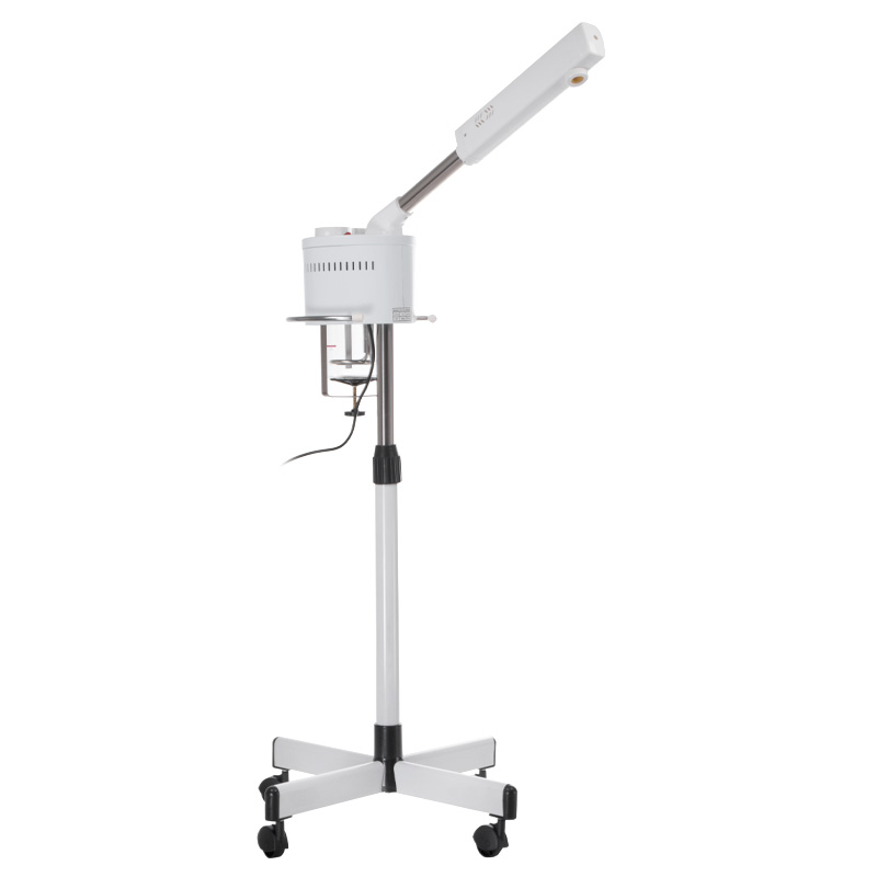 Professionelle Aromatherapie Vapozone mit Ozonbehandlung 750W